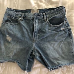 Everlane Denim Shorts